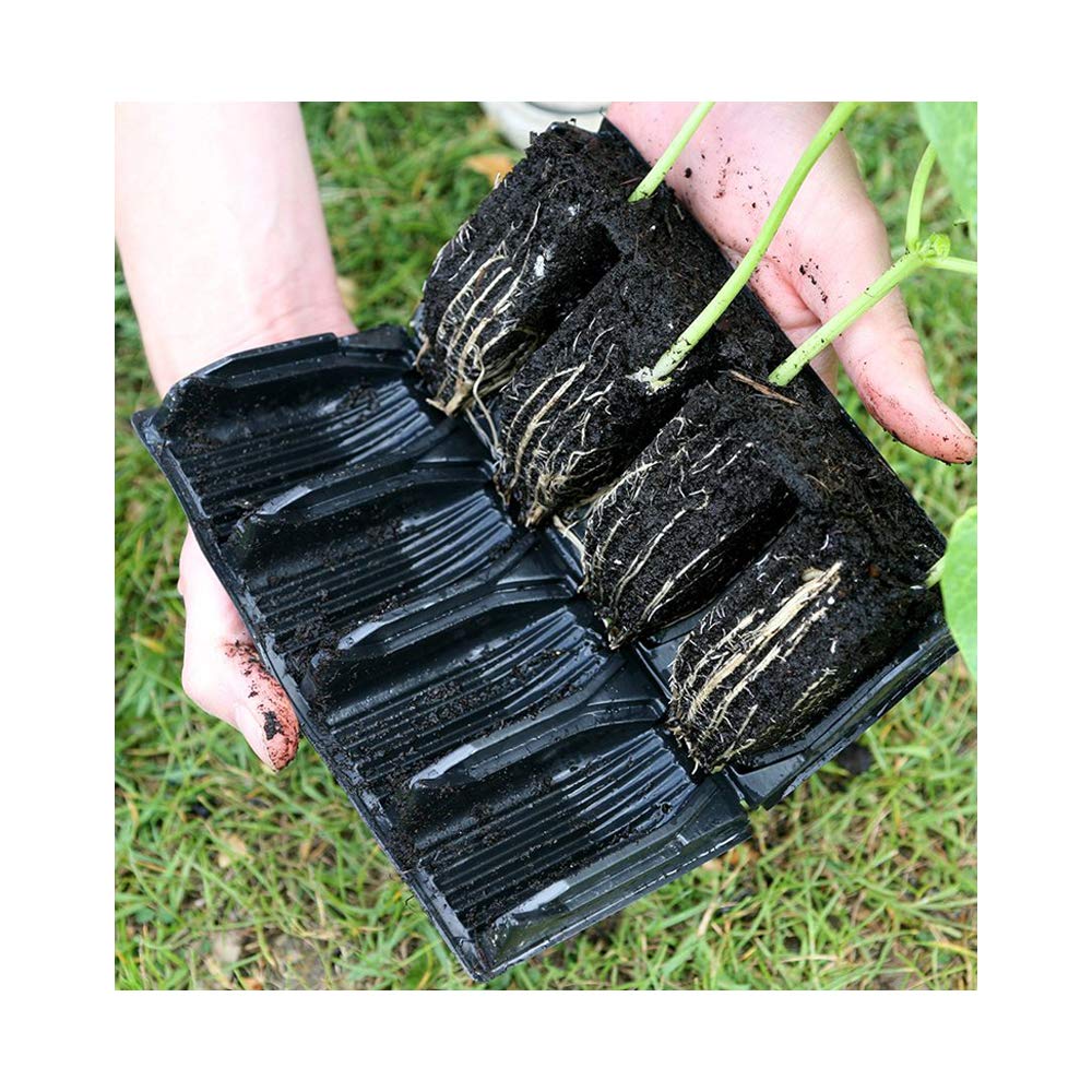 Gardening Naturally Deep Rootrainer Replacement Books Pack of 8 Propagation Books