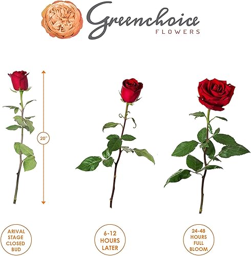 Miniatura 6 de Greenchoice Flowers - Rosas