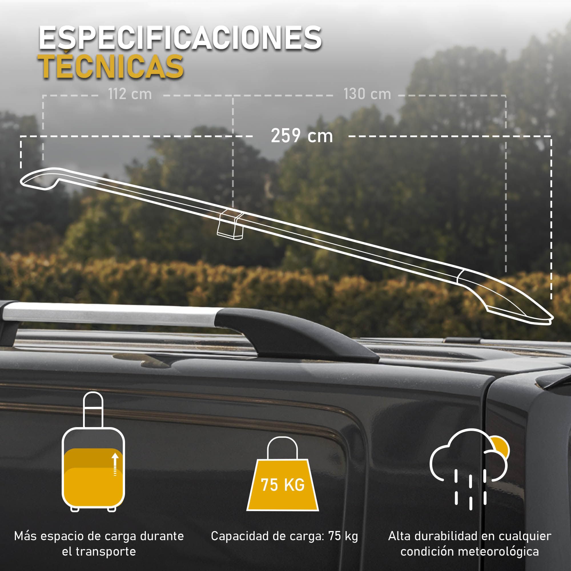 CHROMEMASTER | Barras Portaequipajes, Rieles de Techo Compatible con Ford Transit Custom L2 Largo 2023+; Se Utilizan para el Montaje de Portaequipajes de Techo, Cajas de Techo o Portabicicletas