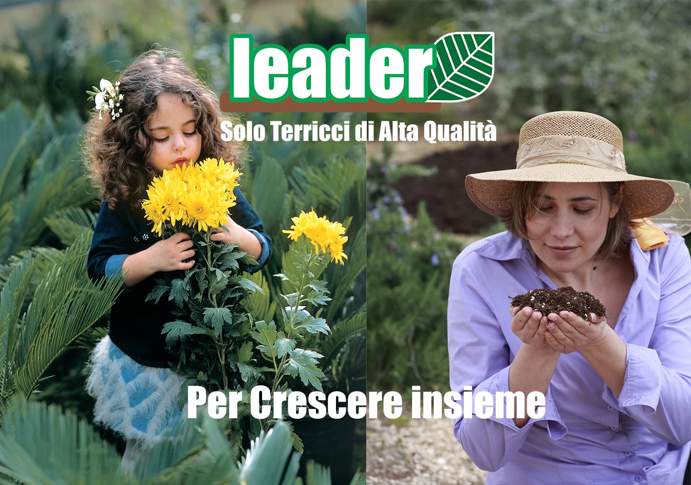 Terriccio Drenante 2 Litri Terriccio Universale ZOMA Per Piante Verdi - 2L, Con Humus Lombrico, Alto Drenaggio, Senza Compostati Terra Per Piante Da Interno