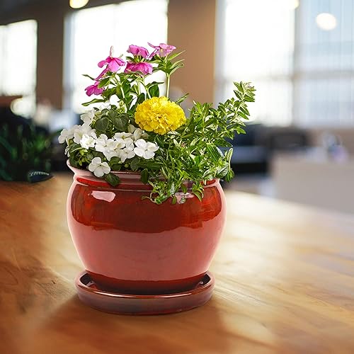 Miniatura 5 de ATT SOUTHERN 077089 - Maceta de glicina de 8 pulgadas, color rojo Oxblood de 8 pulgadas