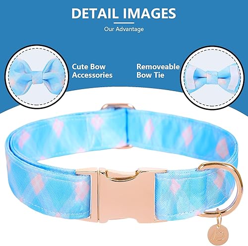 Miniatura 10 de Collar de perro con lazo desmontable y hebilla de metal, collar ajustable para perros pequeños, medianos y grandes y hembras