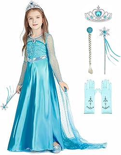 Princess Elsa Costume Dress for Little Girls Toddler Birthday Party Queen Cosplay Clothes with Accossories