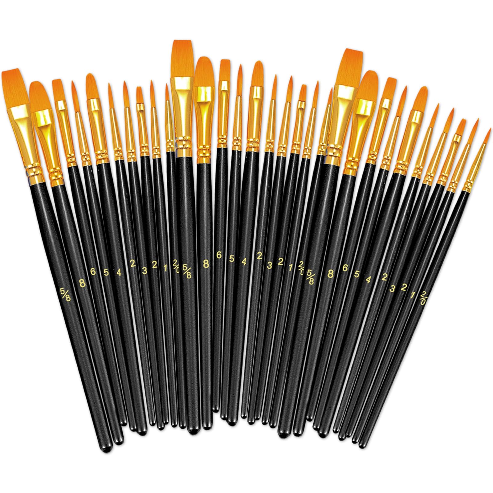 BOSOBO Assorted Nylon Acrylic Artist Paint Brushes Set,Black,30 Pcs
