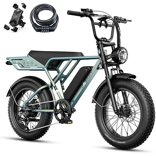 Jasion RetroVolt&Pro Electric Bike for Adults, 2000W/3000W Peak - 30/38MPH Electric Dirt Bike, 48V-52V, 13AH/20AH Battery, 70/90Miles Max Range Electric Motorcycle, 20'' X 4'' Fat Tire All-Terrain