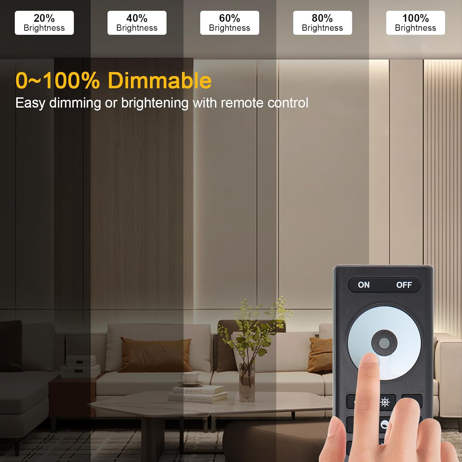 2.4G Wireless RF Remote for Single Color LED Strip Light, 4 Zone Group Control, Brightness Dimming, RC01RFB Touch Control