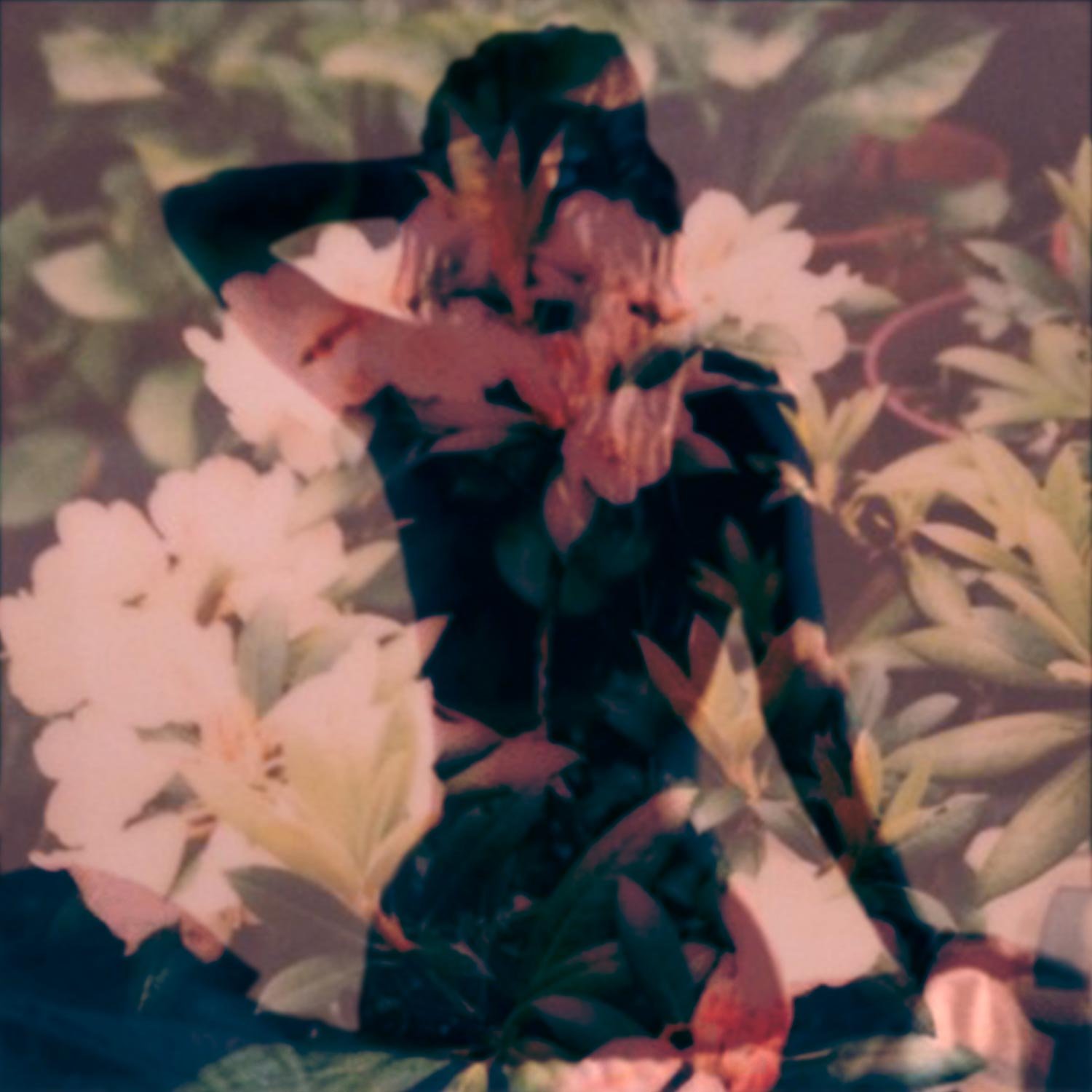 Modern Vices by Modern Vices (Record, 2014)