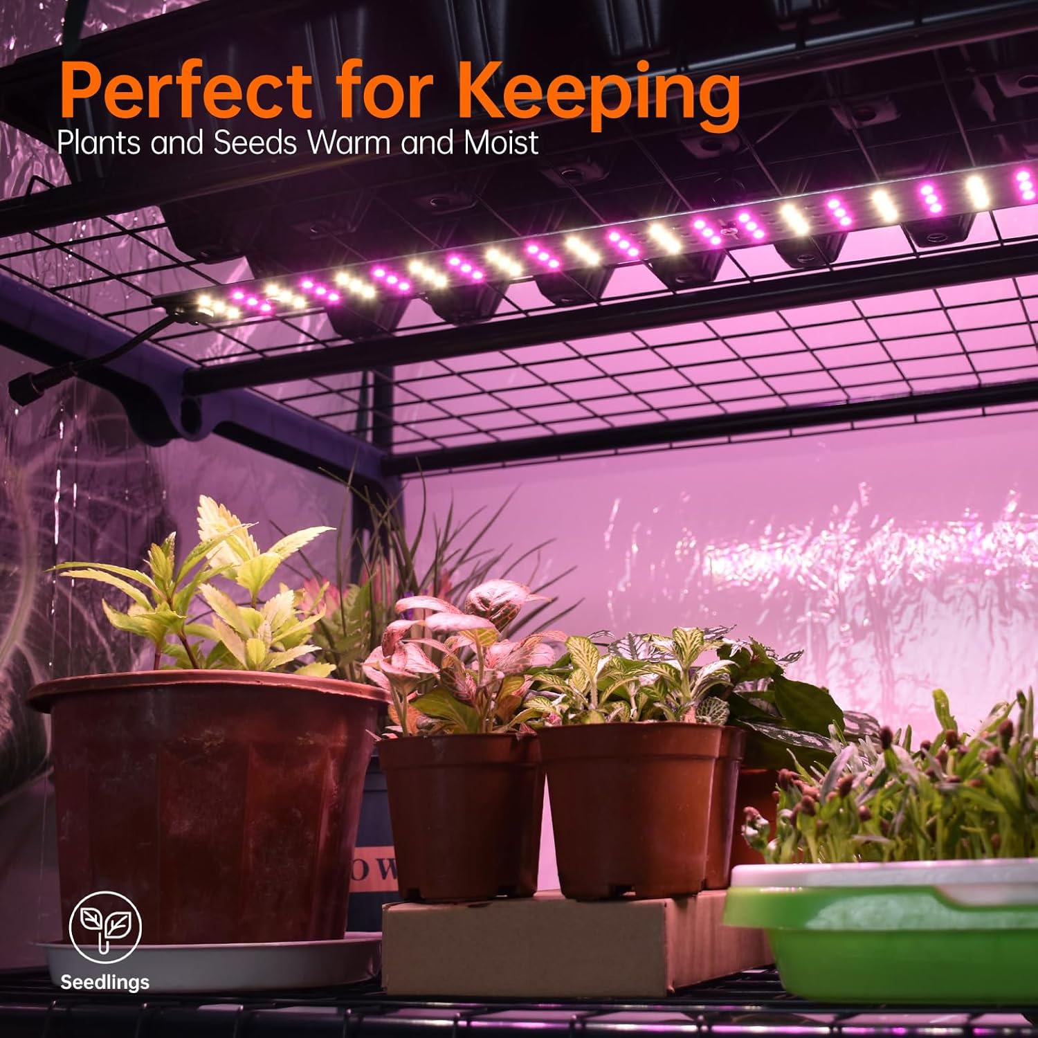 Bstrip Indoor Greenhouse with Grow Lights, 4 Tier 27.2" L×19.9" W×61.8" H Mini Greenhouse with Zippered PVC Cover for Seed Starting Trays, Dimmable 2FT 60W Plant Light for Indoor Plants with Timer 4-Tier Greenhouse