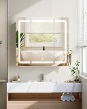 Hzuaneri Armoire Murale Salle de Bain Miroir LED, 3 Températures, Blanc - 3