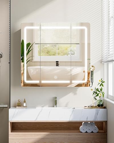 Hzuaneri Armoire Murale Salle de Bain Miroir LED, 3 Températures, Blanc - 3