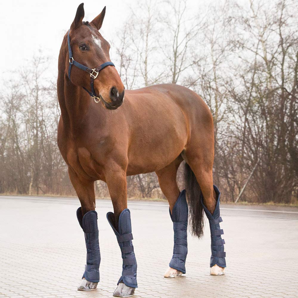 HORZE Travel Boots, Azul, C