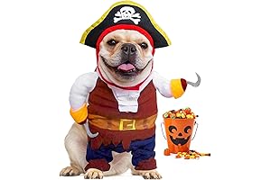 Charming Pirate Cat Costume: Embark on a Purrfect Adventure