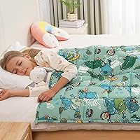 Vista 19 de Mr. Sandman Manta con peso de 3 libras, lavable, mejor para 20 a 40 libras, manta pesada de algodón transpirable con cuentas de vidrio no tóxicas