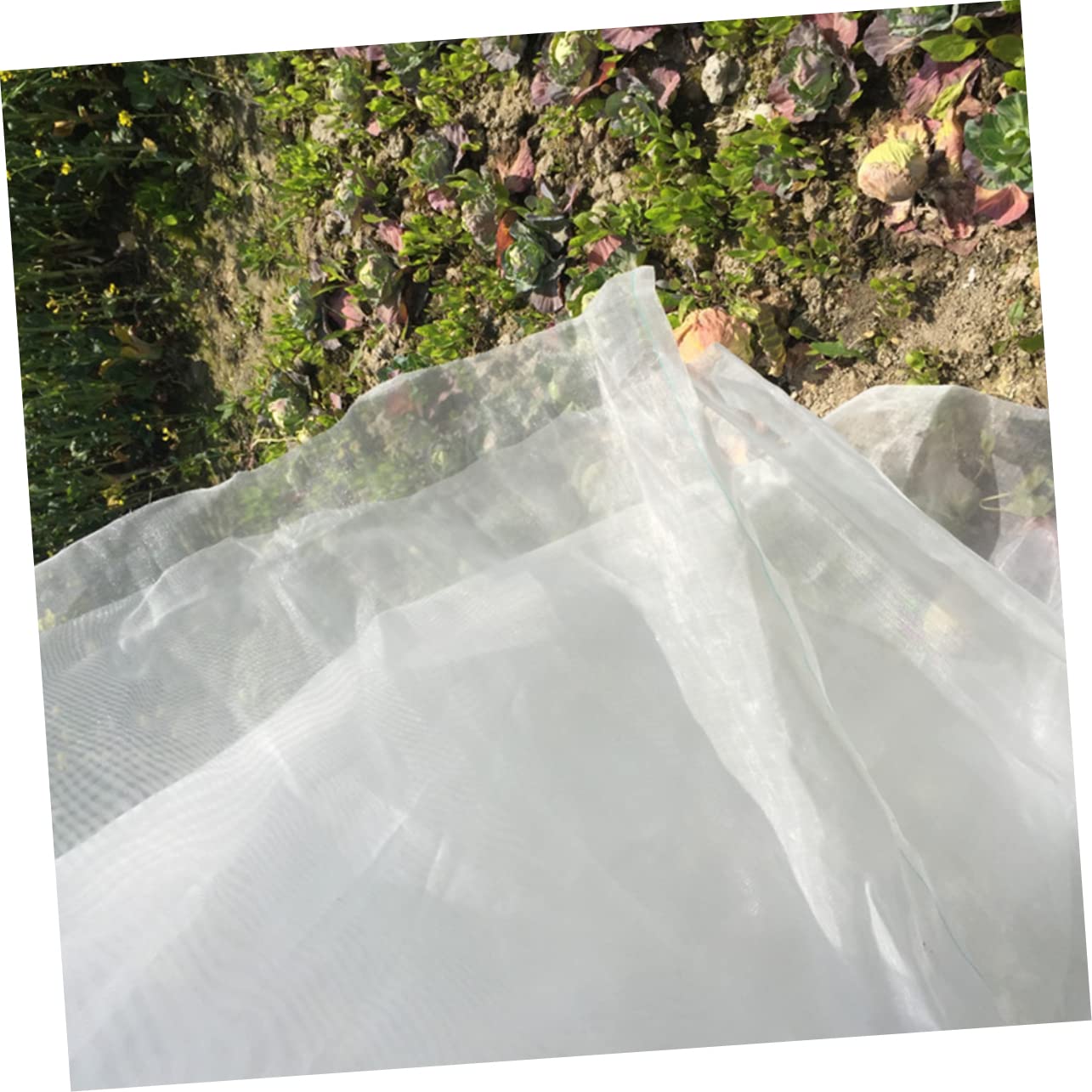Rete Anti-insetti da Giardino in Nylon, Maglia 40, Bianca, Traspirante e Resistente, per Orto, Frutta e Verdura