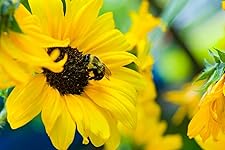 Review Image by Batman