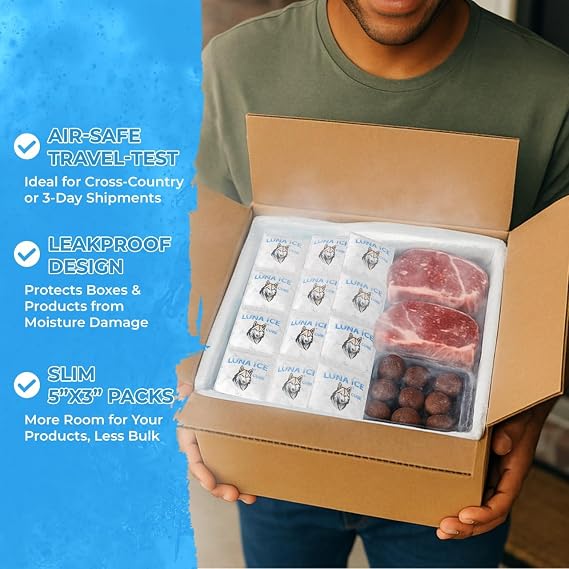 Dry Ice Packs for Shipping CUBES - Long Lasting ice Packs - 24+ Hour Freeze Power - BPA Free - 24 Pack Bulk 1.5 lb Hielo Seco - Reusable Gel Bricks for Food