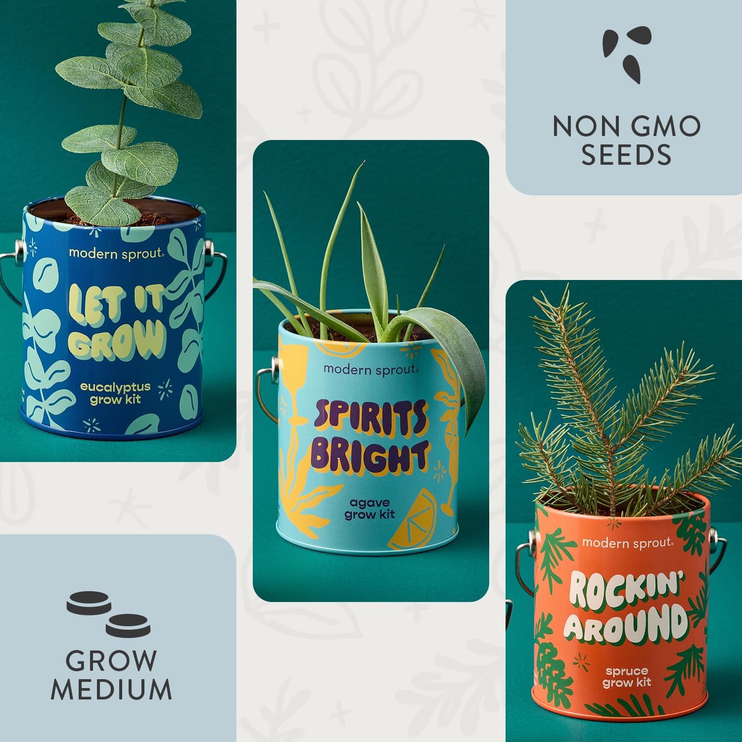 Modern Sprout Complimentary Seed Starter Grow Kits (Pack of 3) - Unique Gift for Plant Lovers - Includes Organic Spruce Eucalyptus and Agave Seeds - Plant and Gardening Gifts that Grows with Love