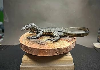 Amazon | BACALYSO | トカゲ フィギュア 7.5-18CM級 爬虫類 有鱗