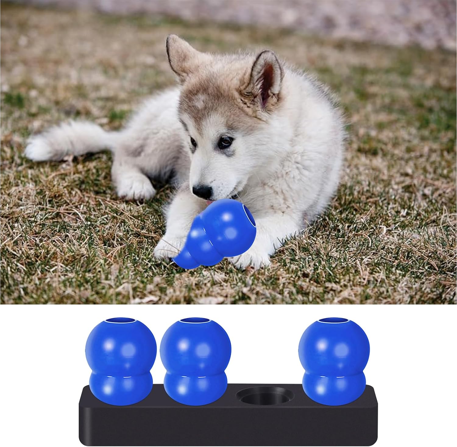 Freezer Holder complicable with Kong, with Built in Plugs, Fetch & Chew Toy Holder for Dogs(Medium)