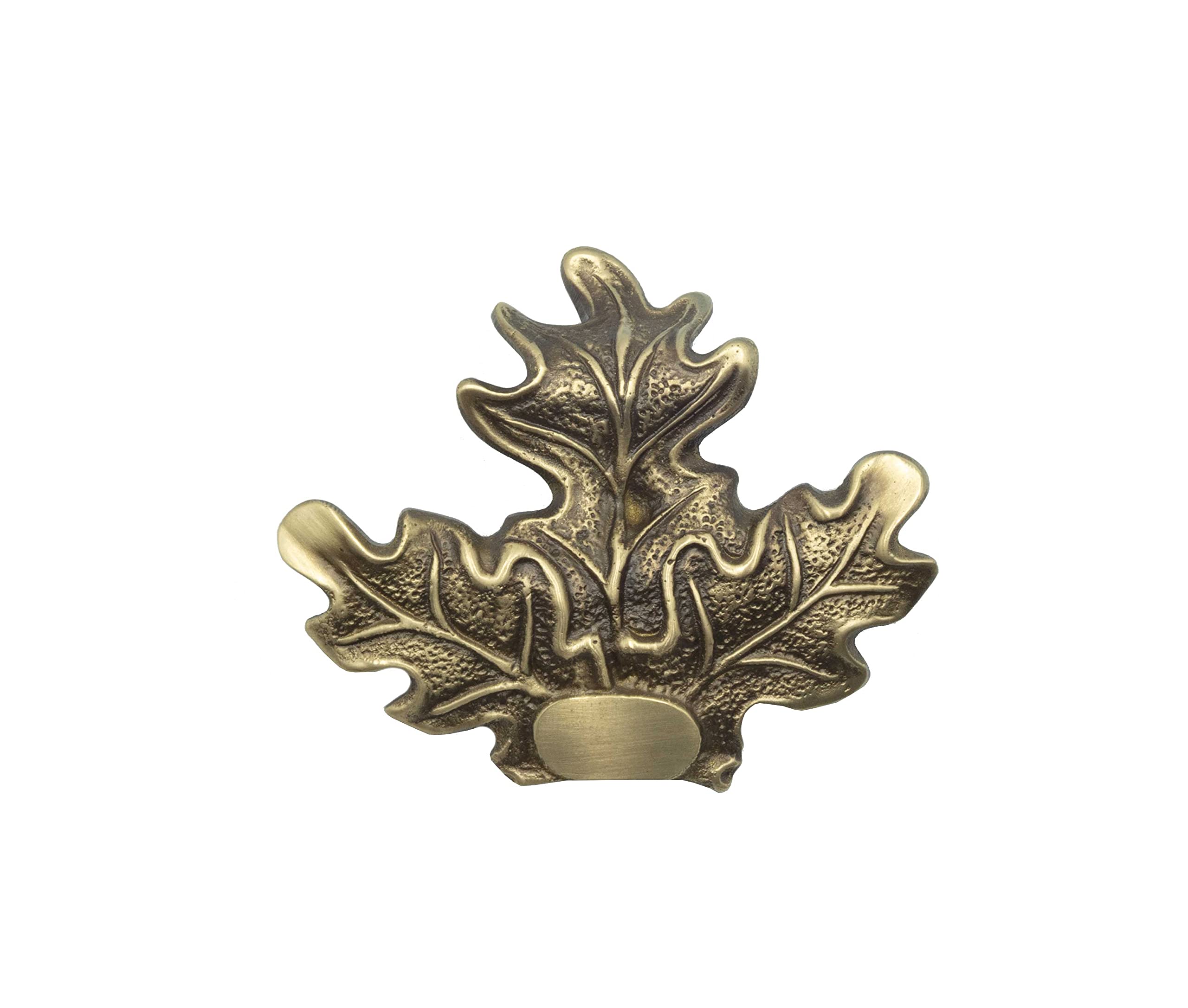 Januel - Decorazione con foglie di quercia per trofeo di cinghiale, fissaggio denti e gres di cinghiale su stemma trofeo, modello grande, fissaggio a vite, viti incluse