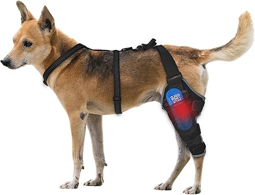 Miniatura 1 de Rodillera para perro para pierna trasera, ajustable, transpirable, con paquetes de gel caliente y frío, soporta perros grandes y medianos con