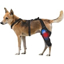 Dog Knee Brace for Back Leg - Adjustable Breathable Canine Leg Wrap with Hot & Cold Gel Packs - Supports Large & Medium Dogs with Arthritis, Hip Dysplasia, ACL Injuries, Left Hind Leg M
