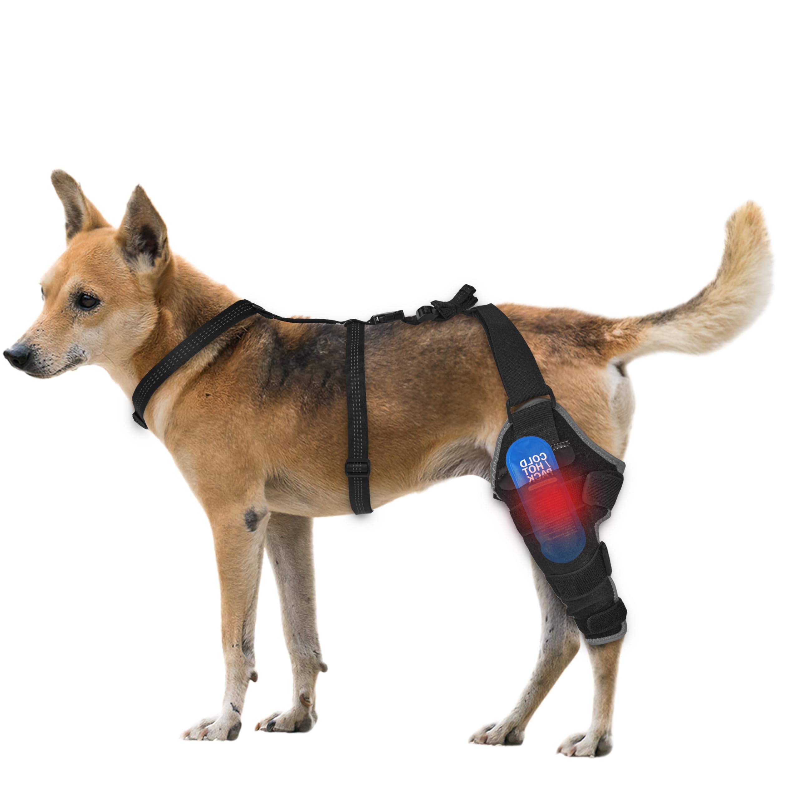 Moysoon Dog Knee Brace for Back Leg - Adjustable Breathable Canine Leg Wrap with Hot & Cold Gel Packs - Supports Large & Medium Dogs with Arthritis, Hip Dysplasia, ACL Injuries, Left Hind Leg (M) — image 1
