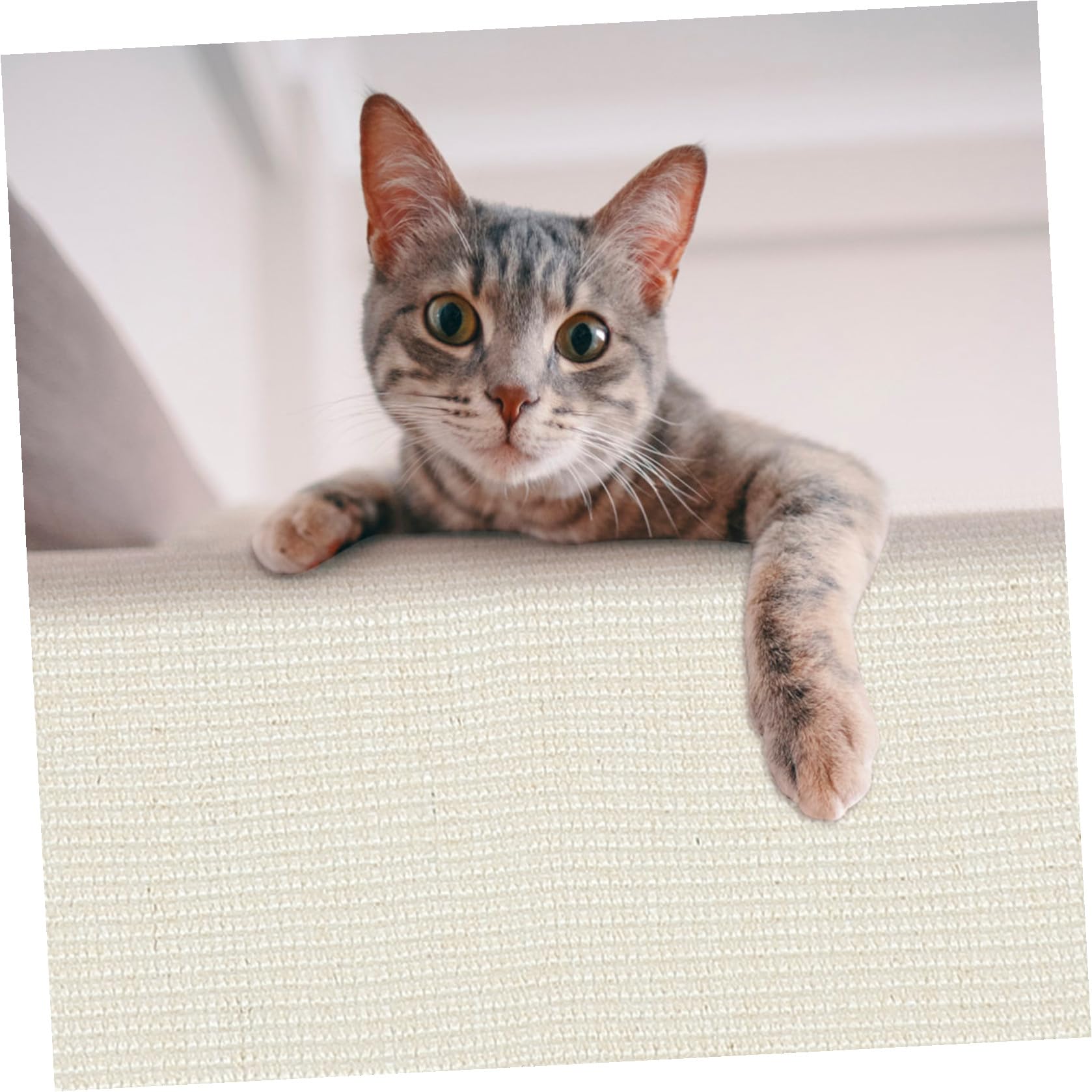 SOIMISS Protector contra Arañazos Funda para Reposabrazos Antiarañazos para Sofá Garra de Sisal Adecuado para Gatos en Oficina o Tienda