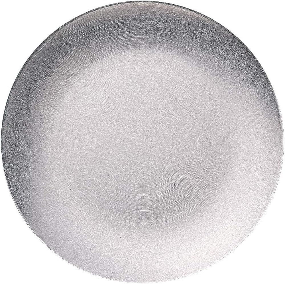 Vintage Inox Round Coupe Plate, 9.8 inches (250 mm), Made in Japan, Cafe, Restaurant, Dish, Stainless Steel, Aging, Unbreakable, Dishwasher Safe