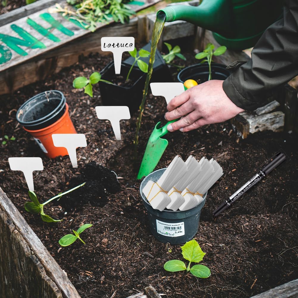 200 Pcs Thick Plastic Plant Labels, Seed Remark Name Sign, Waterproof Flower Potting Name Markers, T-Type Tags Nursery Garden Labels Re-Usable Plant Tags for Outdoor Garden - Image 6