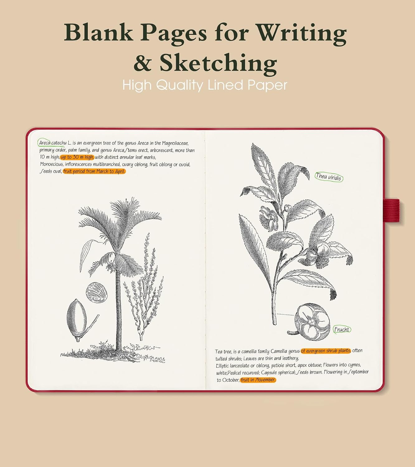 PAIBAS A5 Blank Journal, Leather Unlined Notebook for Sketching (5.8"x8.5") image 3