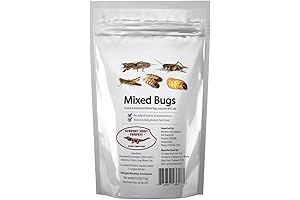 Newport Jerky Company Edible Insects: A Gastronomic Adventure