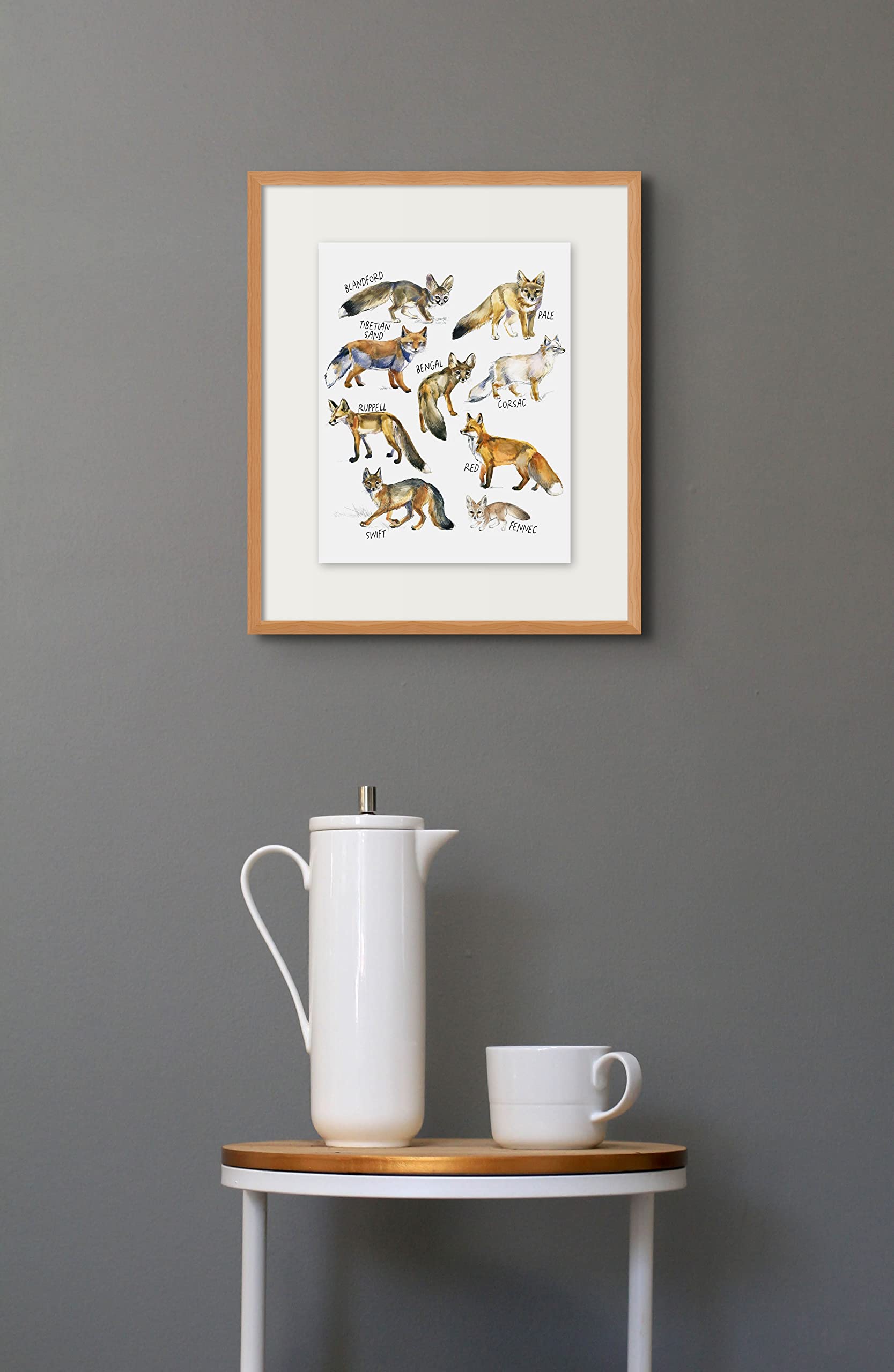 Watercolor Fox Breed Guide Prints - Set of 1 (11x14) Inches Glossy
