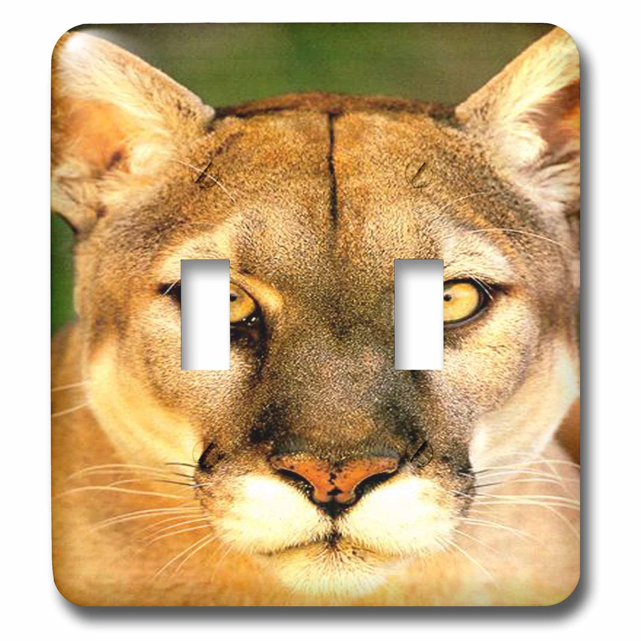Panther interrupteur double 3dRose lsp_710_2 commutateur mural design