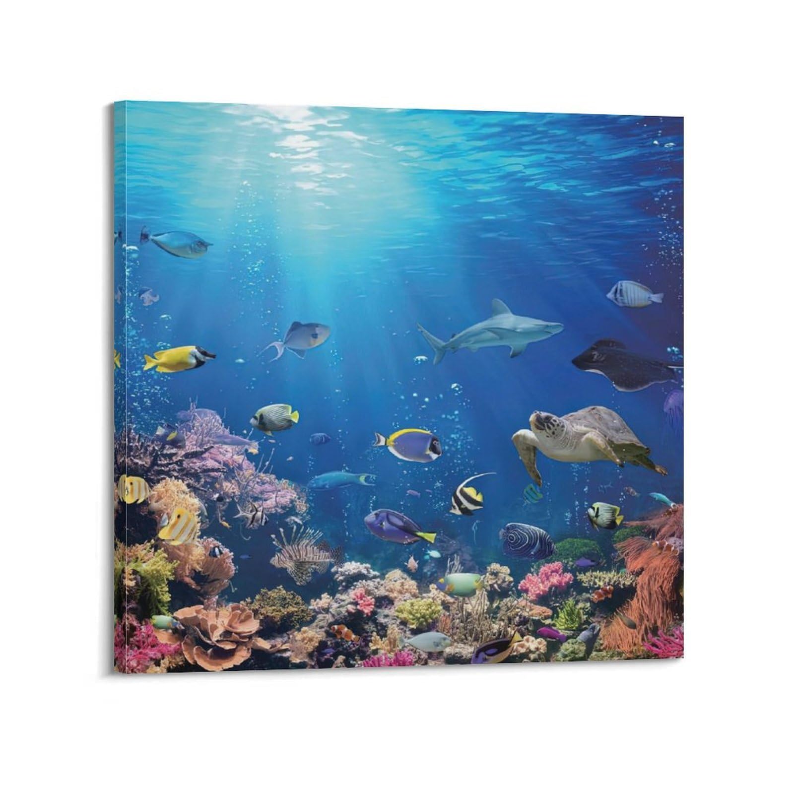 CXHJCA Animal Poster Seabed Exploration Poster Decorative Painting Canvas Wall Posters And Art Picture Print Modern Family Bedroom Decor Posters 24x24inch(60x60cm)