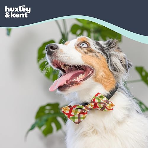 Miniatura 4 de Huxley & Kent - Corbatín para mascotas para perros y gatos - Collar ajustable de gancho y bucle para otoño - Accesorio lindo y cómodo para fiestas y