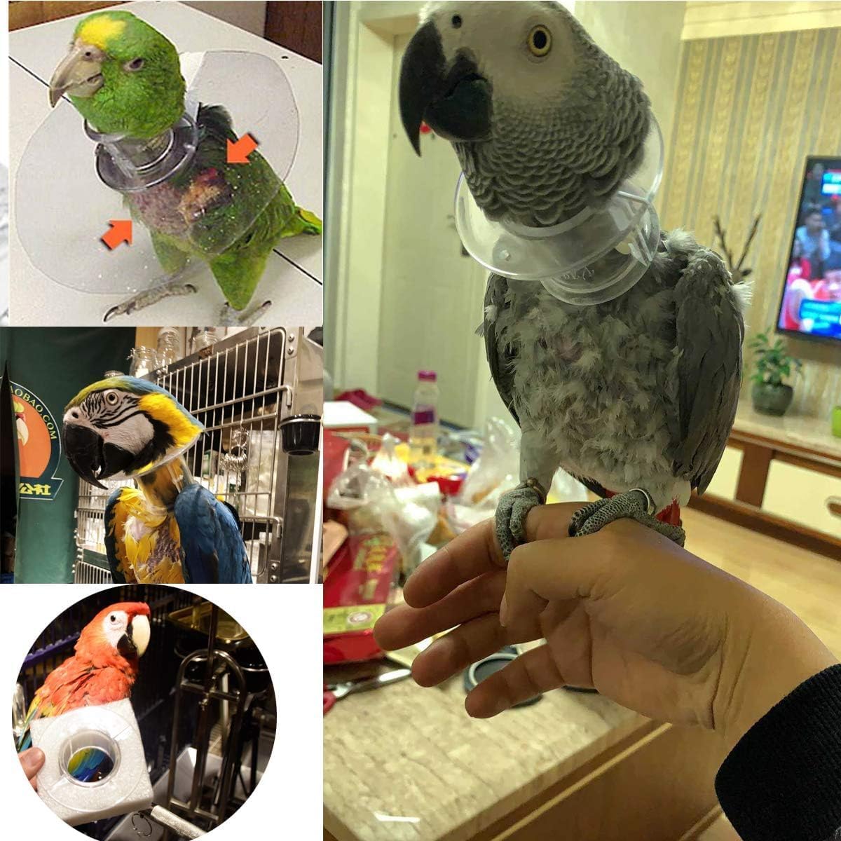 Cubierta para Cuello de Pájaro, Loro para Mascotas, Collar Antimordedura, Collar de Pájaro, Movimiento de Cuello de Pájaro, Banda para el Cuello, Cubierta para el Cuello, Pluma, Lamer, Curación de