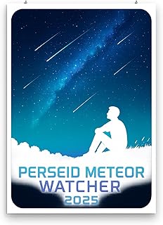Perseid Meteor Shower Art - Astronomy Enthusiasts - 13x19 Poster Print - Celestial Decor