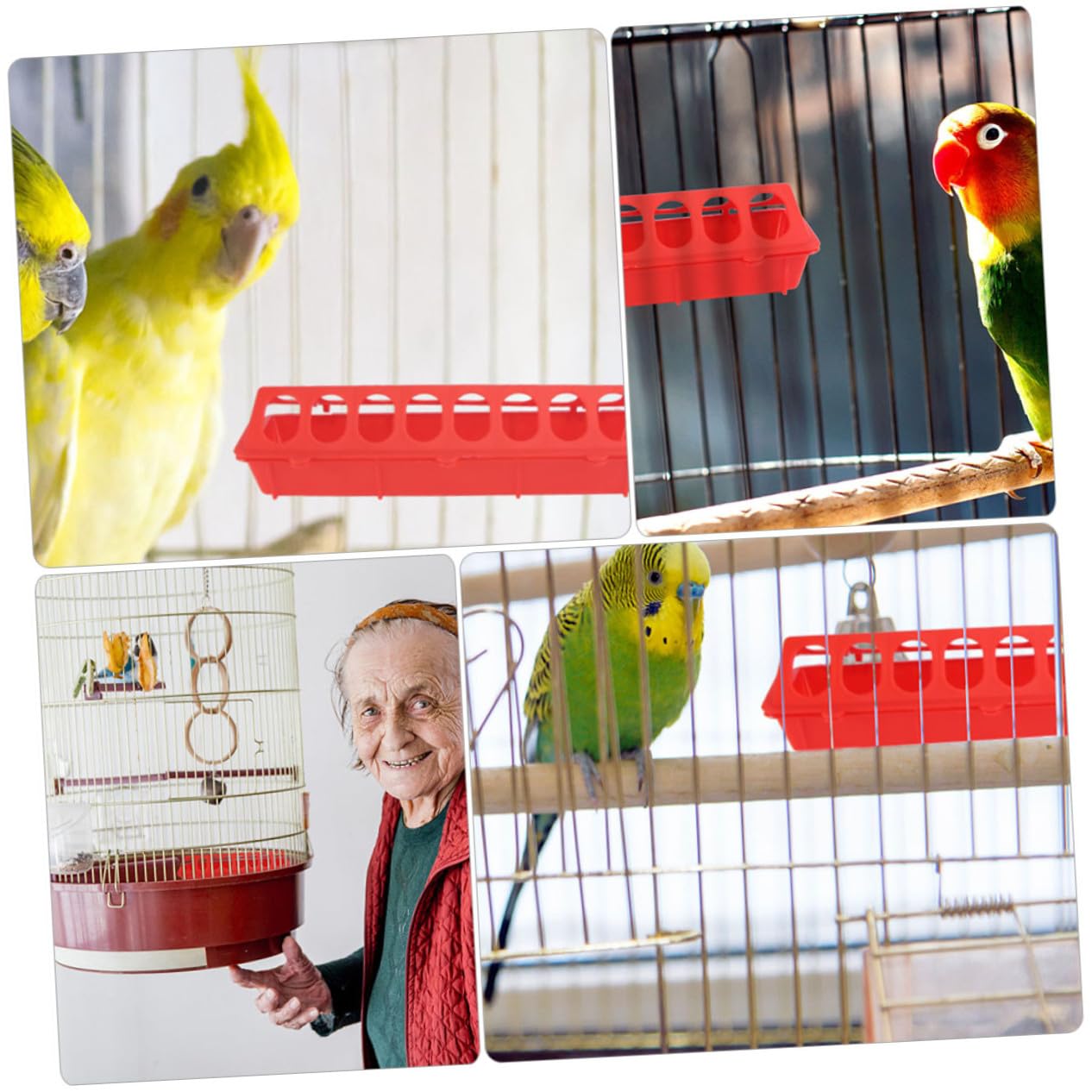 4 pièces Mangeoire pour Pigeons Capacité Large Alimentation Pratique pour Petits Oiseaux et Poulets pour Élevage Domestique