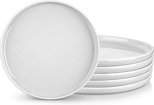 vancasso Juego de 6 platos de ensalada de sésam de 8 pulgadas, platos de cerámica aptos para microondas, horno y lavavajillas, gris claro