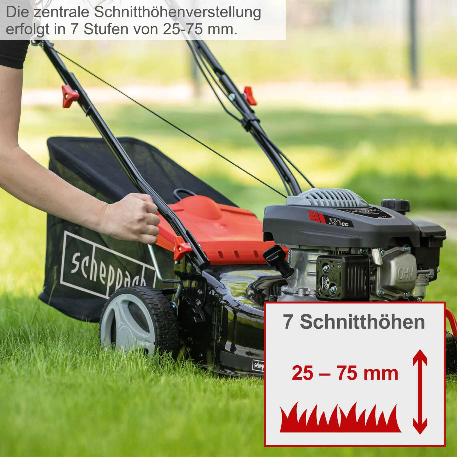 Scheppach Rasenmäher RM420A | 5 in 1-3,3PS | Schnittbreite 420mm | 45L Fangkorb | Schnitthöhenverstellung 25-75 mm | inkl. Radantrieb, Reinigungsfunktion & Motoröl