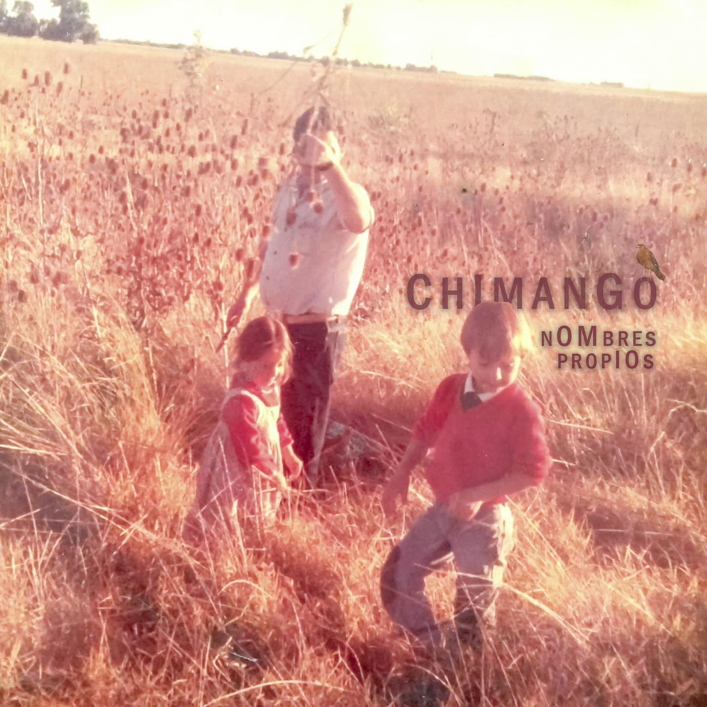 Chimango