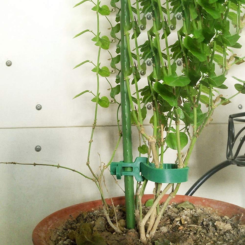 Fascette Per Piante Da Giardino - Legatura A Spina Di Pesce - Supporto Per Alberi E Arbusti - 4 Pezzi 40 Cm - Foto 11