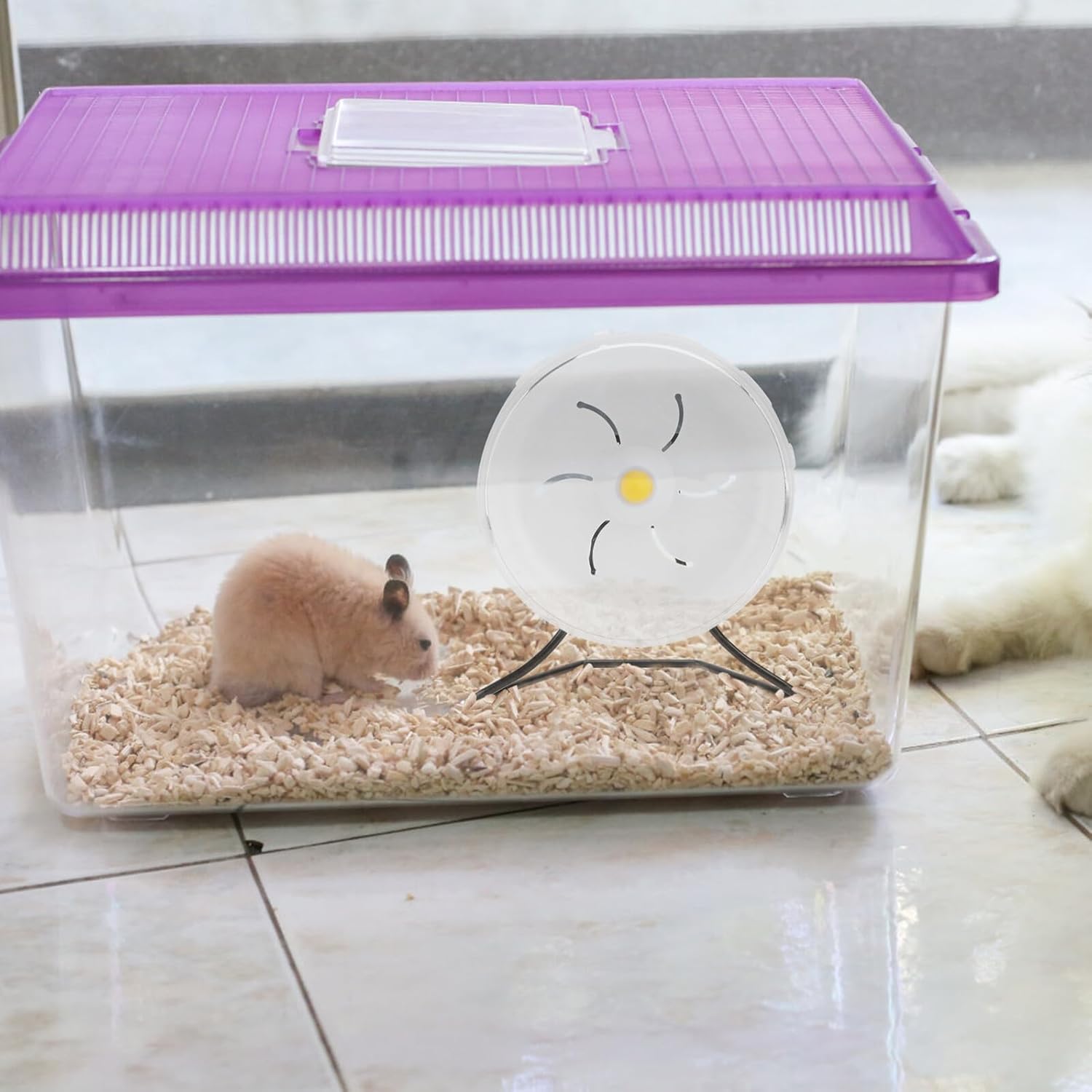Artibetter Small Pet Exercise Wheel Hamster Running with Steel Bracket 17.5cm Silent Fitness Wheel for Hamsters Hedgehogs and Small Animals