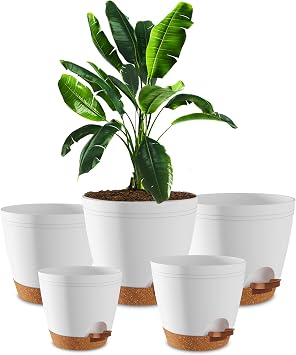 Utopia Home Self Watering Pots for Indoor Plants 6.8"/6.4"/5.9"/5.5"/4.9" Set of 5, Planters for Indoor Plants, Small Multi-Size Flowerpot, Plant Pots with Drainage & Reservoir White