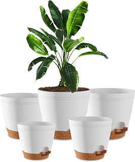 Utopia Home Self Watering Pots for Indoor Plants 6.8"/6.4"/5.9"/5.5"/4.9" Set of 5, Planters for Indoor Plants, Small Multi-Size Flowerpot, Plant Pots with Drainage & Reservoir (White)
