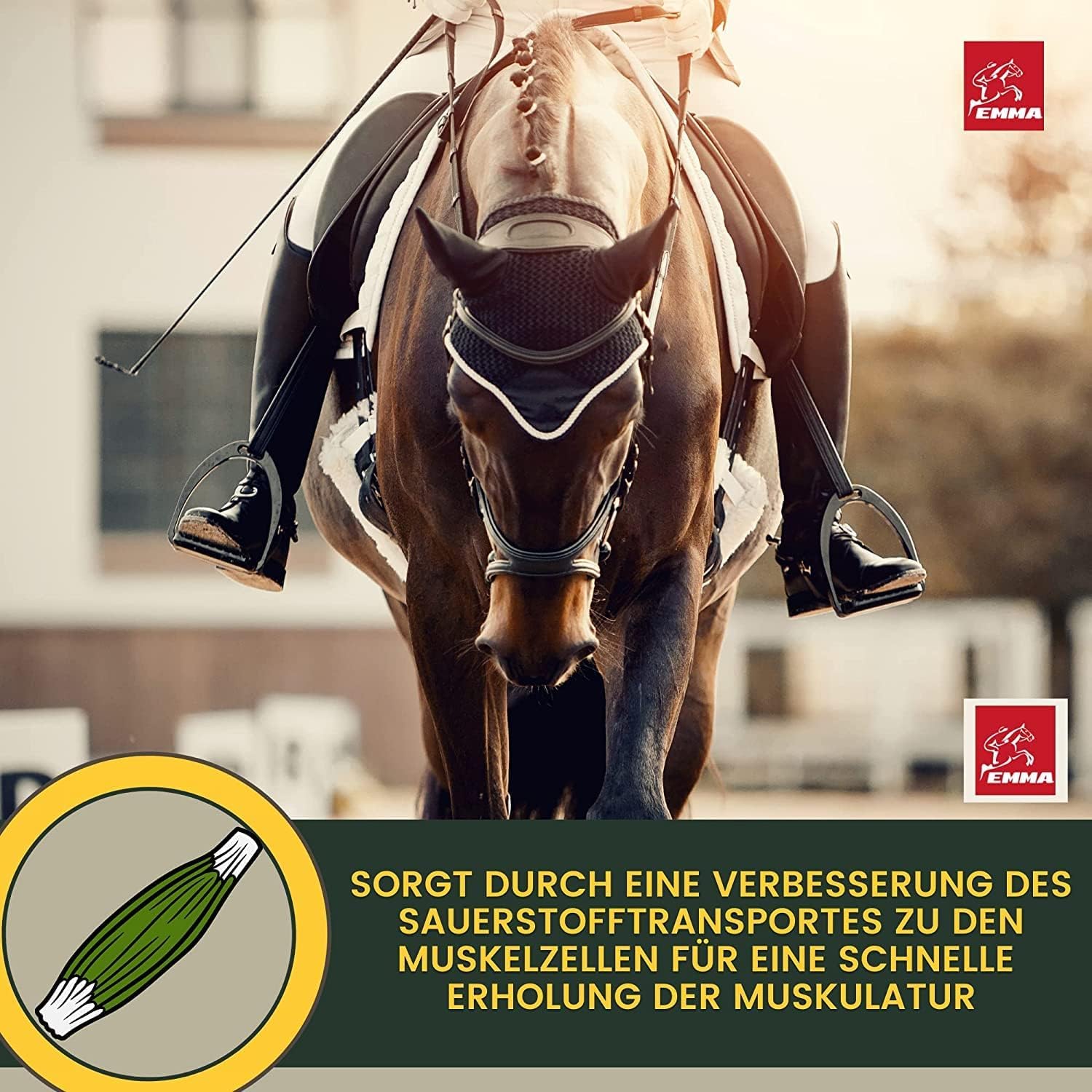 Amino Pâte pour cheval 4 × 30 ml – Acides aminés pour chevaux avec L-carnitine & vitamine E – Renforcement et régénération musculaire – Pâte vitaminée Muscle Booster Alternative à la poudre de