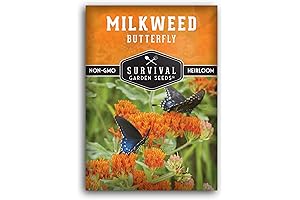 Butterfly Milkweed Seeds for Thriving Monarch Populations