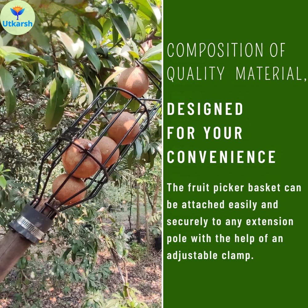 Utkarsh Lemon Picker Basket | Small Fruit Plucker Basket for Lemon, Apple, Pear, & More | Easy to Use Fruits Catcher | Fruit Picker for Convenient & Safe Harvesting - Set of 1 PC 3