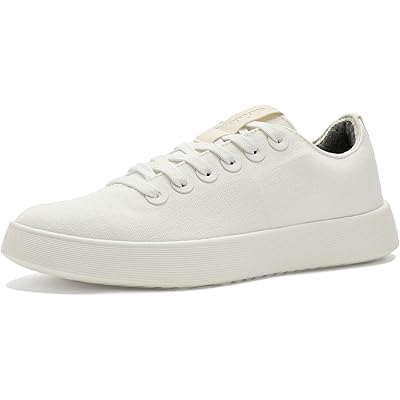 Allbirds Cruiser Canvas